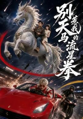 别惹我的天马流星拳